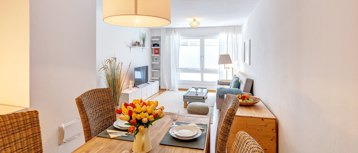 apartment München Maxvorstadt 01 living area 13972