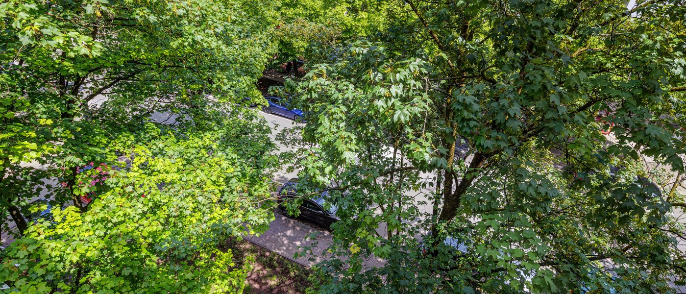 apartment München Lehel 02 view 13986