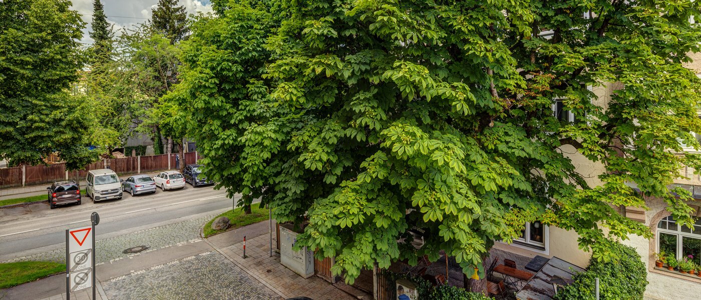 apartment München Thalkirchen 02 view 14008