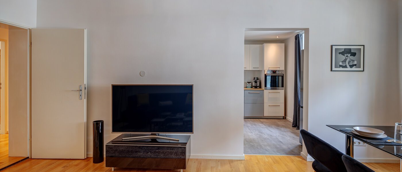 apartment München Thalkirchen 03 living area 14008