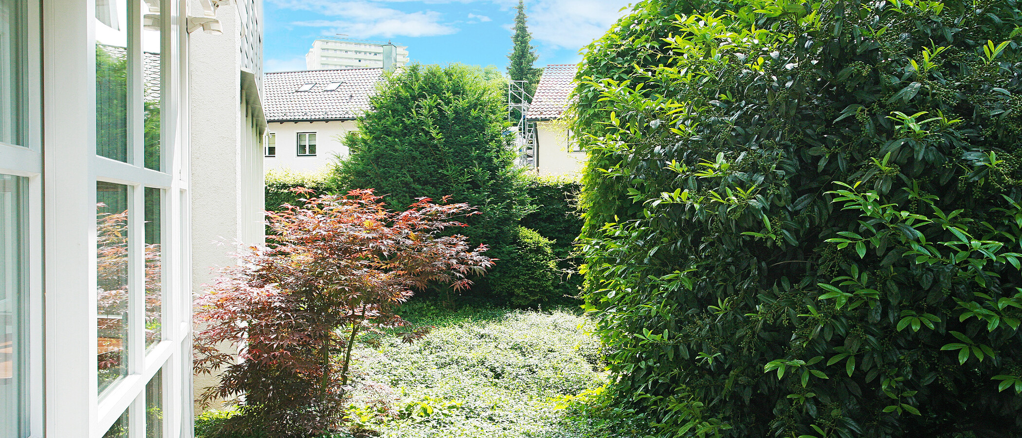 apartment with garden 	 München Herzogpark 03 terrace 1401