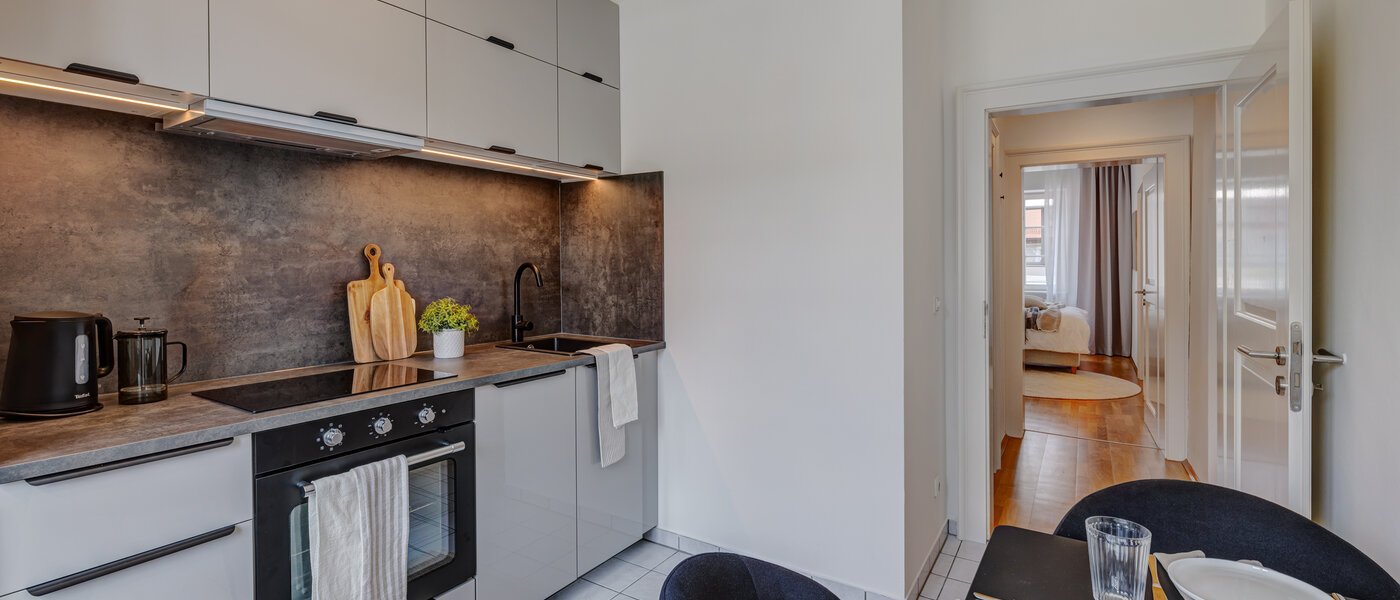 apartment München Lehel 03 kitchen 14023