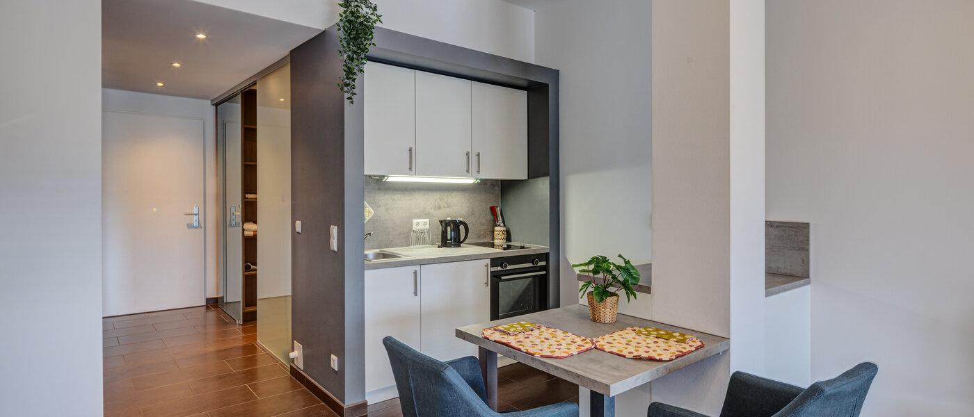 apartment München Ludwigsvorstadt 01 kitchen 14032