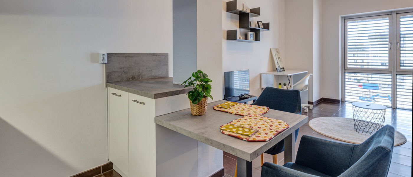 apartment München Ludwigsvorstadt 02 living area 14032