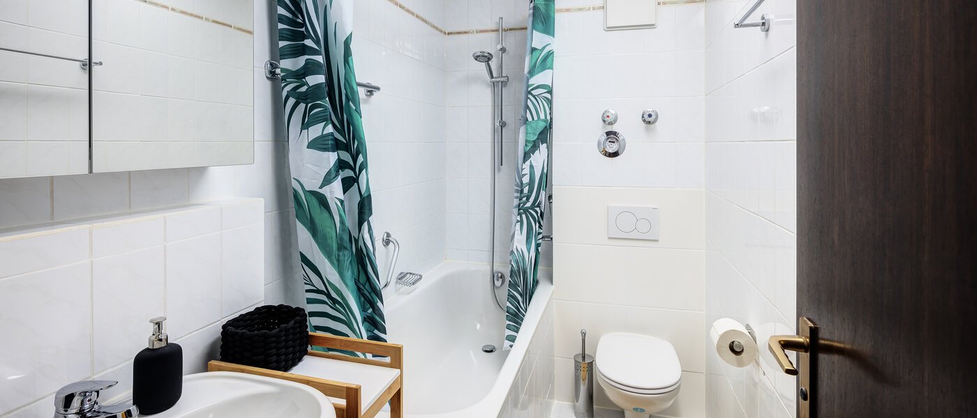 apartment München Obergiesing 01 bathroom 14058