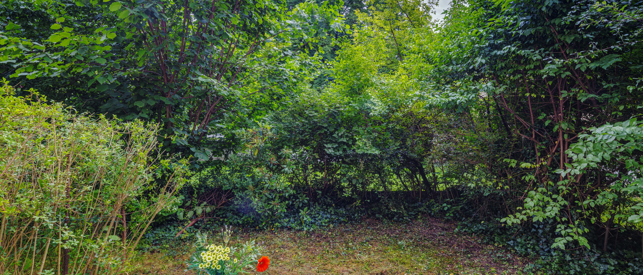 studio München Schwabing 03 garden 14061