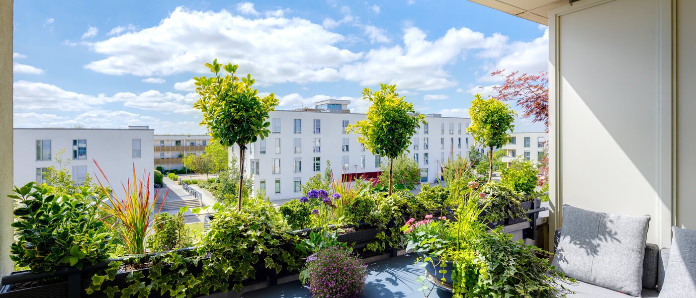 Sorry, this property has already been rented