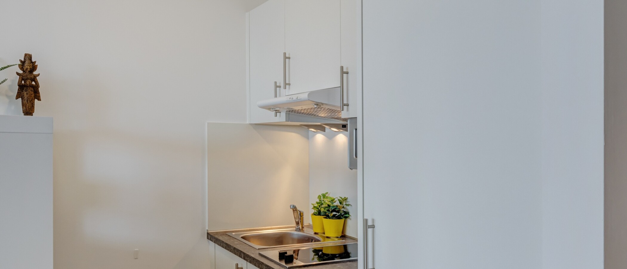 apartment München Schwabing (rechts der Leopoldstraße) 01 kitchen 14071