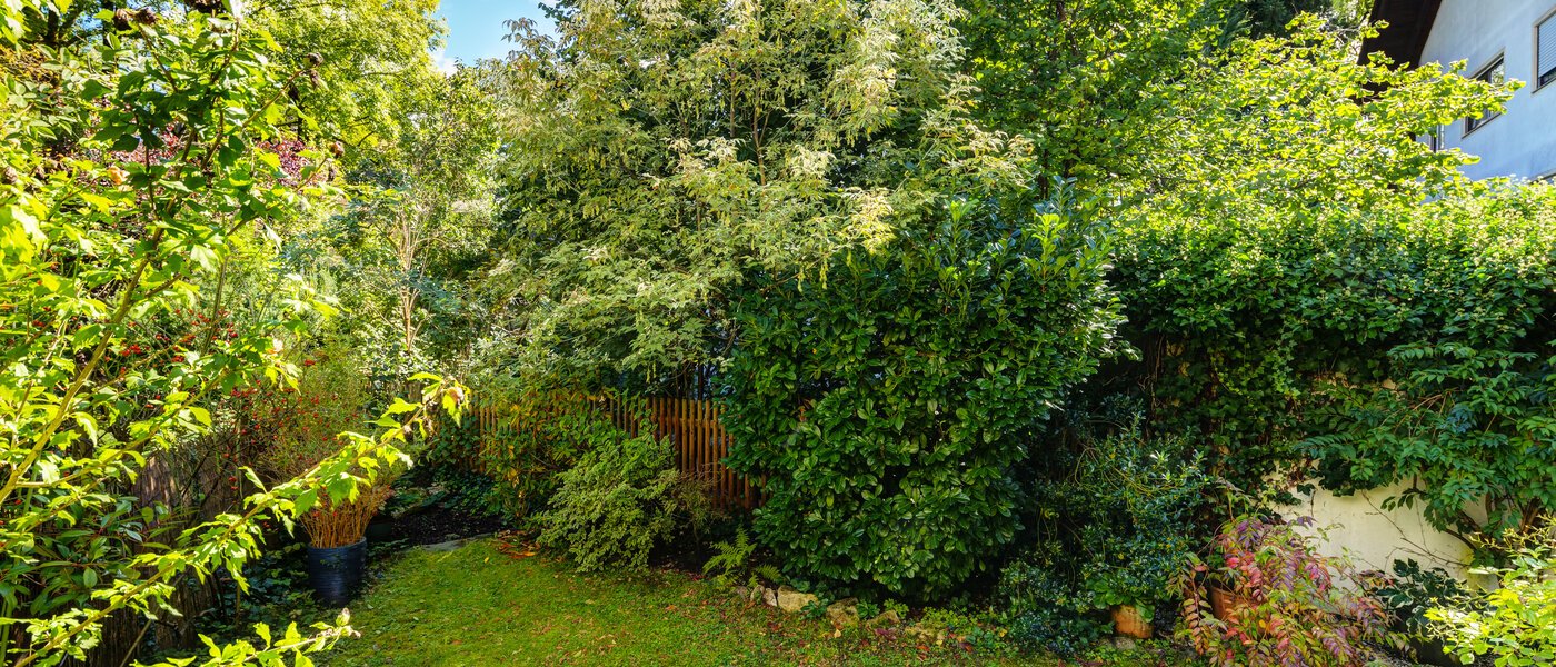 apartment München Solln 01 view 14165