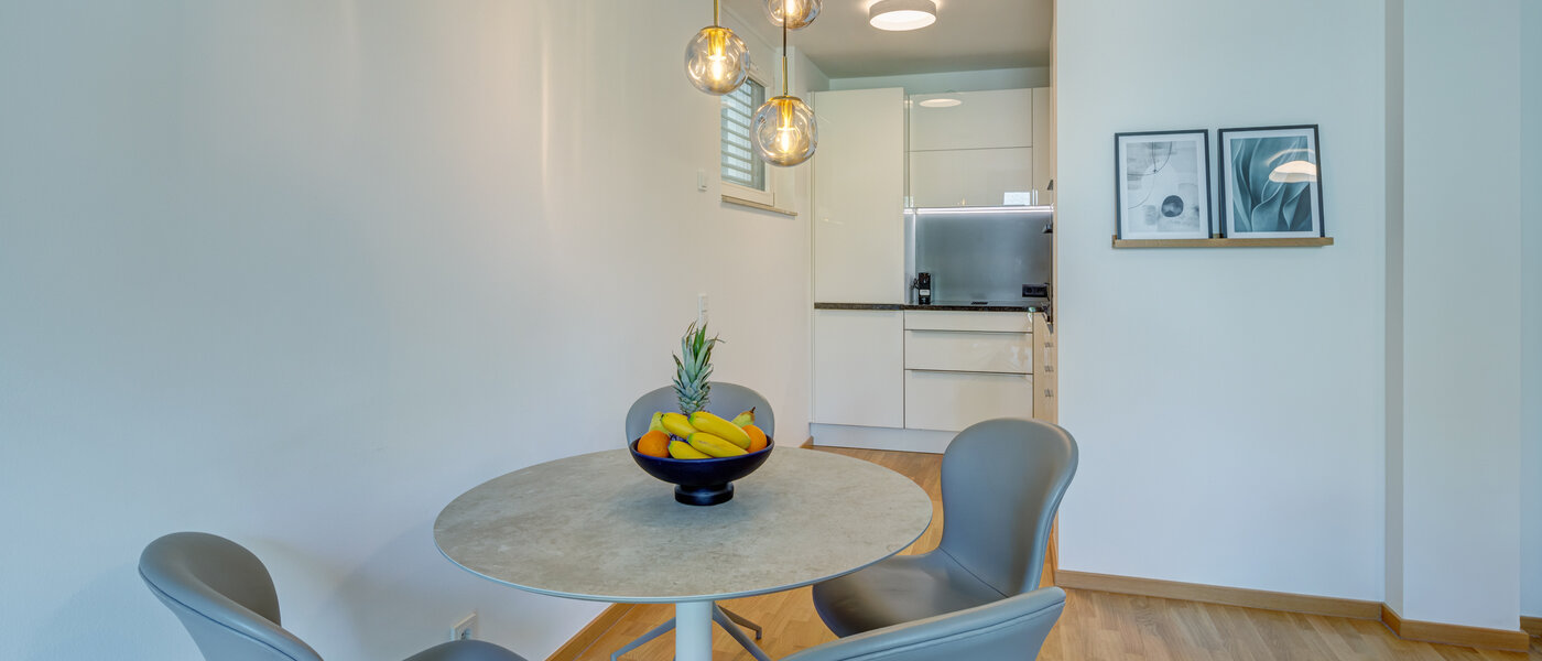 apartment München Obermenzing 04 living area 14168