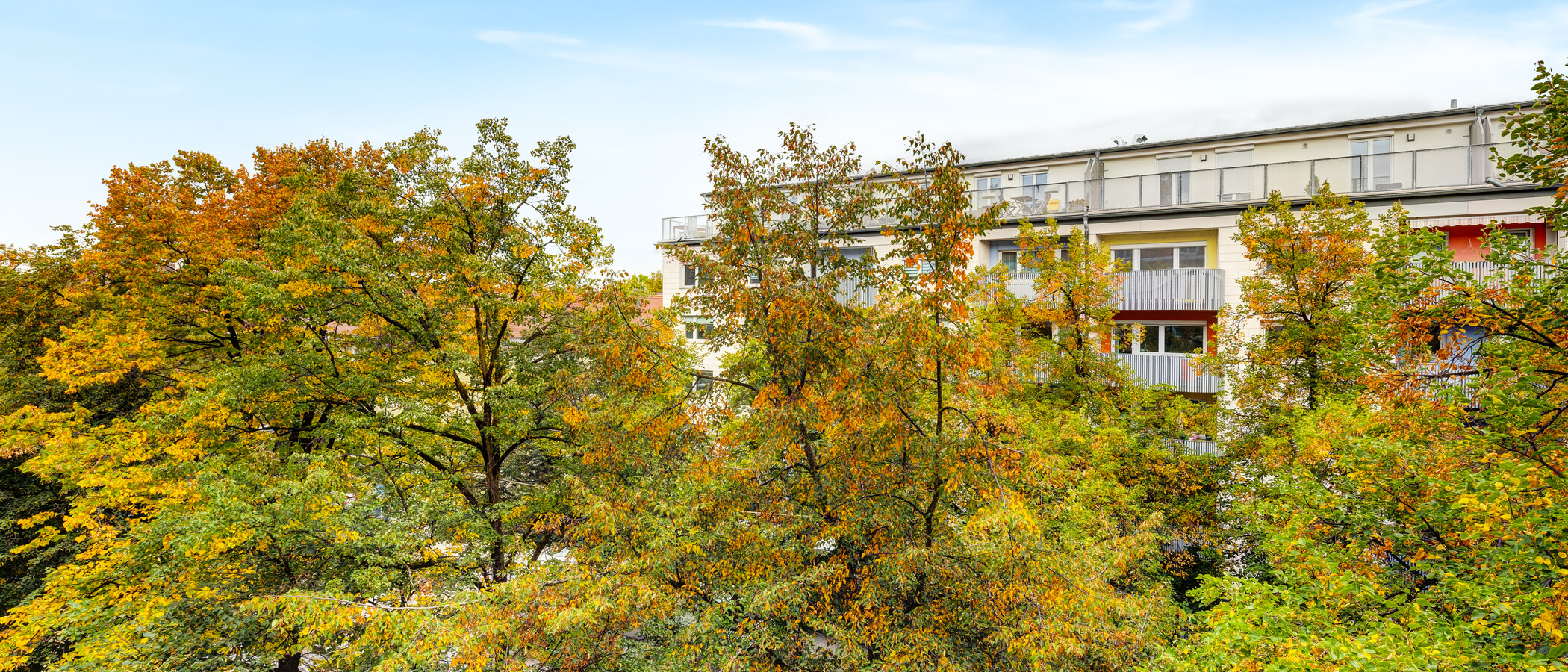 apartment München Bogenhausen 03 view 14181