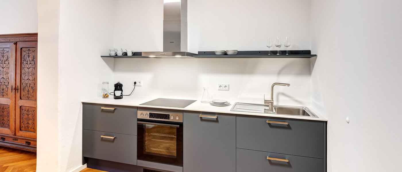 apartment München Maxvorstadt - Museumsviertel 01 kitchen 14203