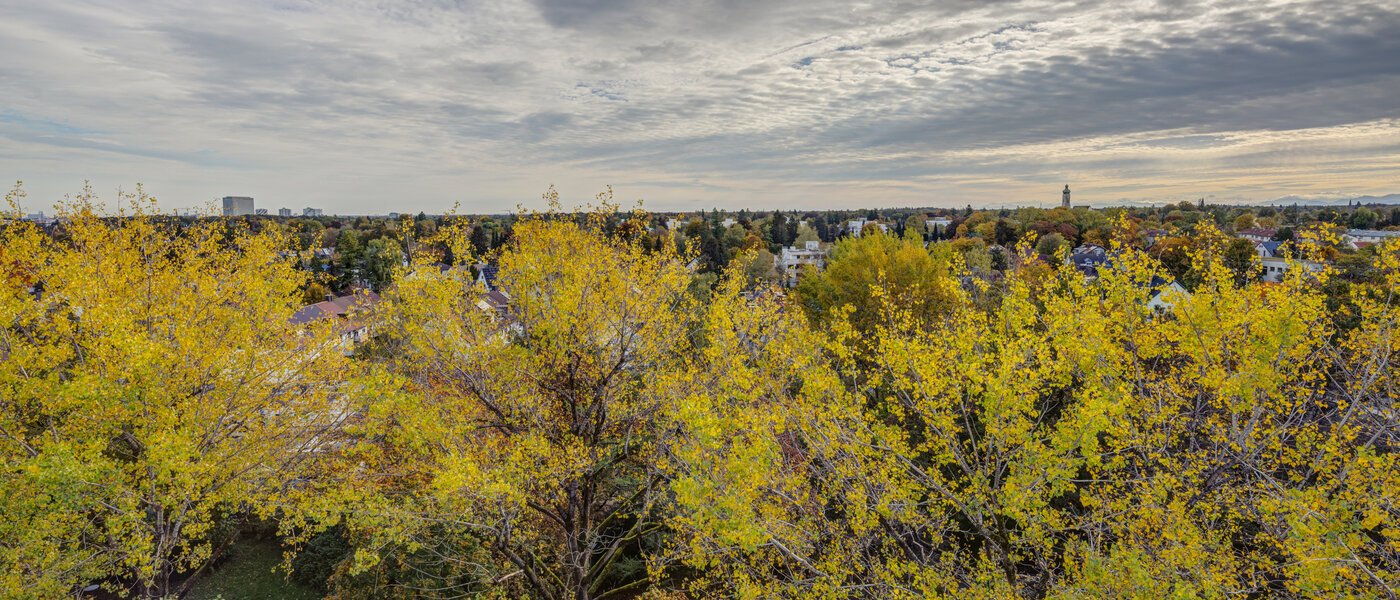 apartment München Parkstadt Solln 02 view 14205