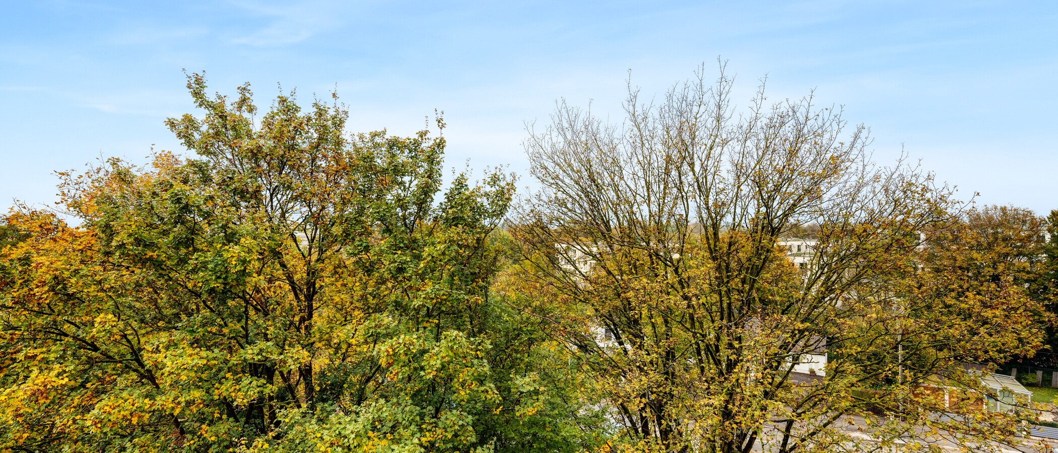 apartment München Aubing 03 view 14209