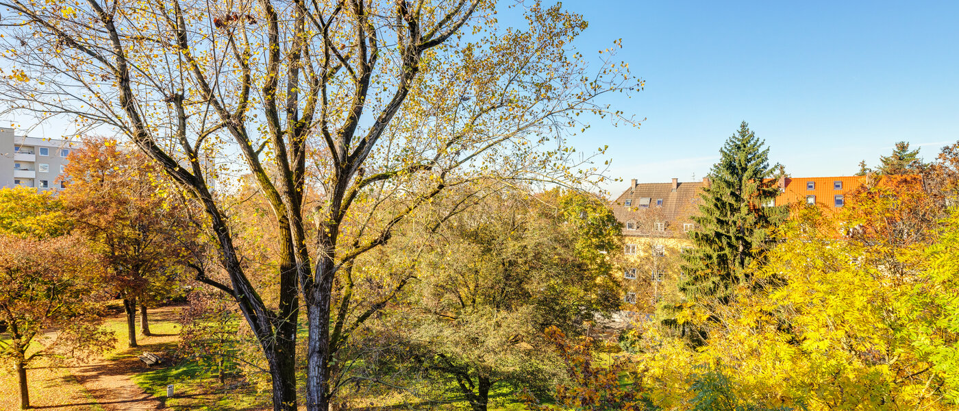 apartment München Harlaching 01 view 14232