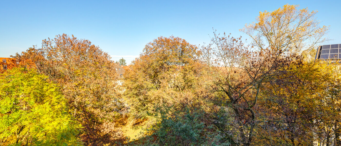 apartment München Harlaching 03 view 14232