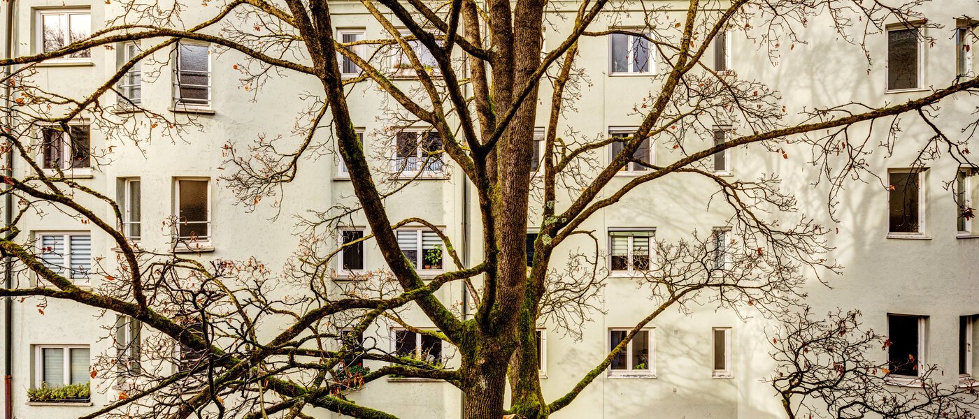 apartment München Lehel 04 view 14254