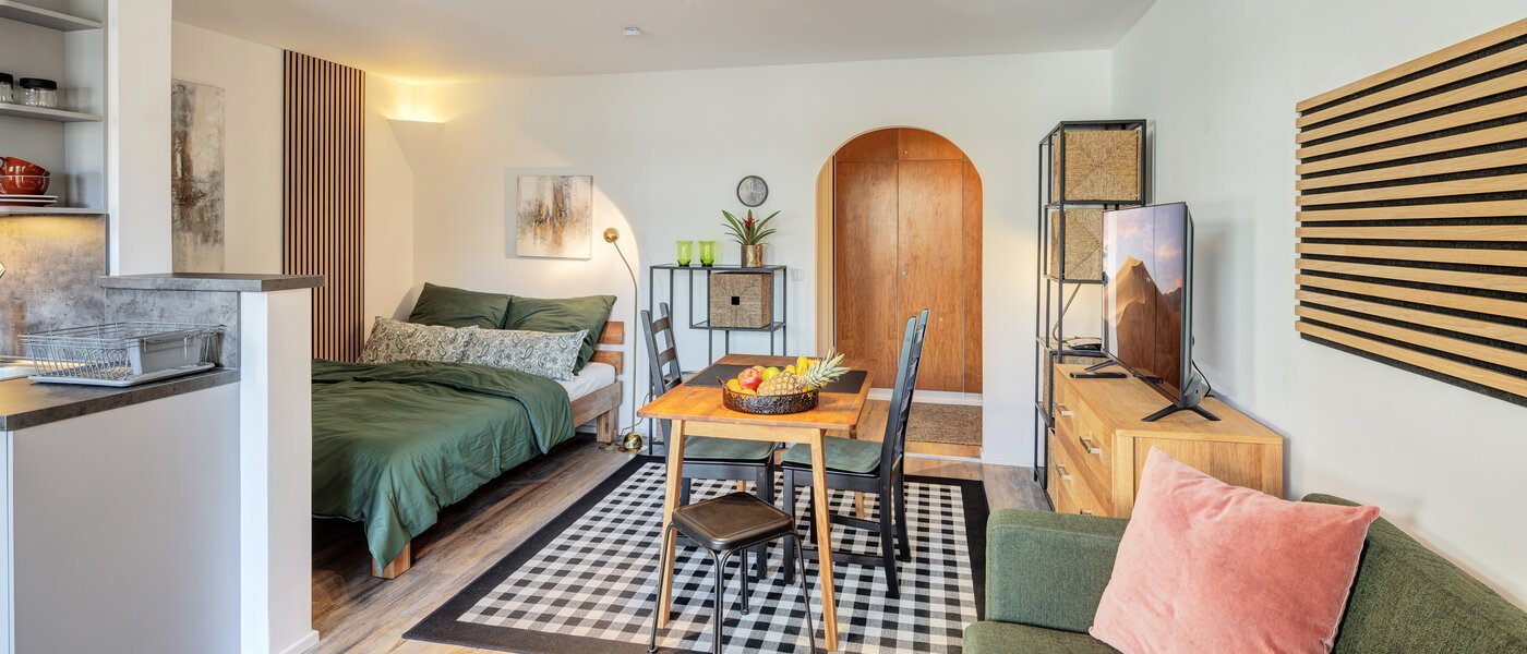 apartment München Pasing 04 living area 14263