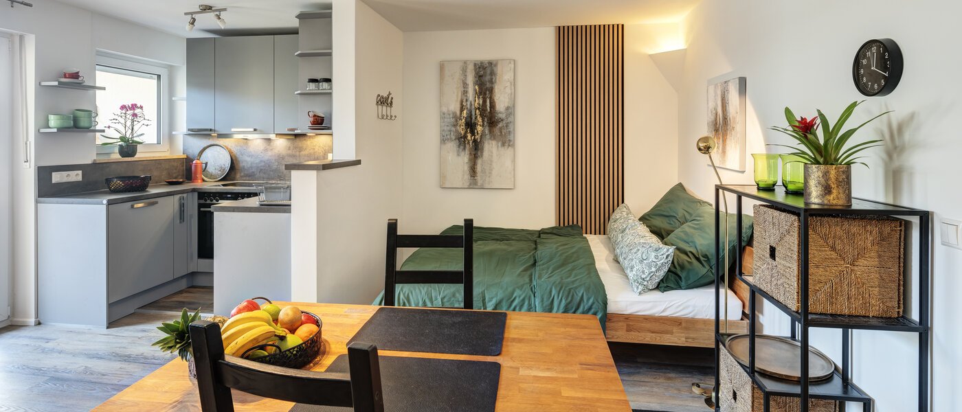 apartment München Pasing 05 living area 14263