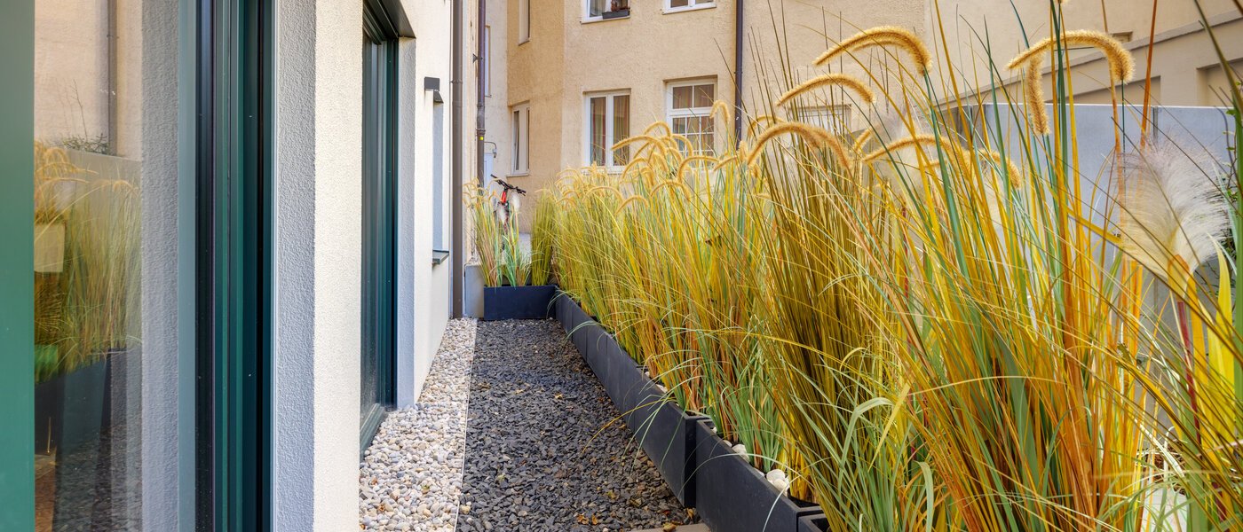 apartment München Dreimühlenviertel 02 terrace 14265