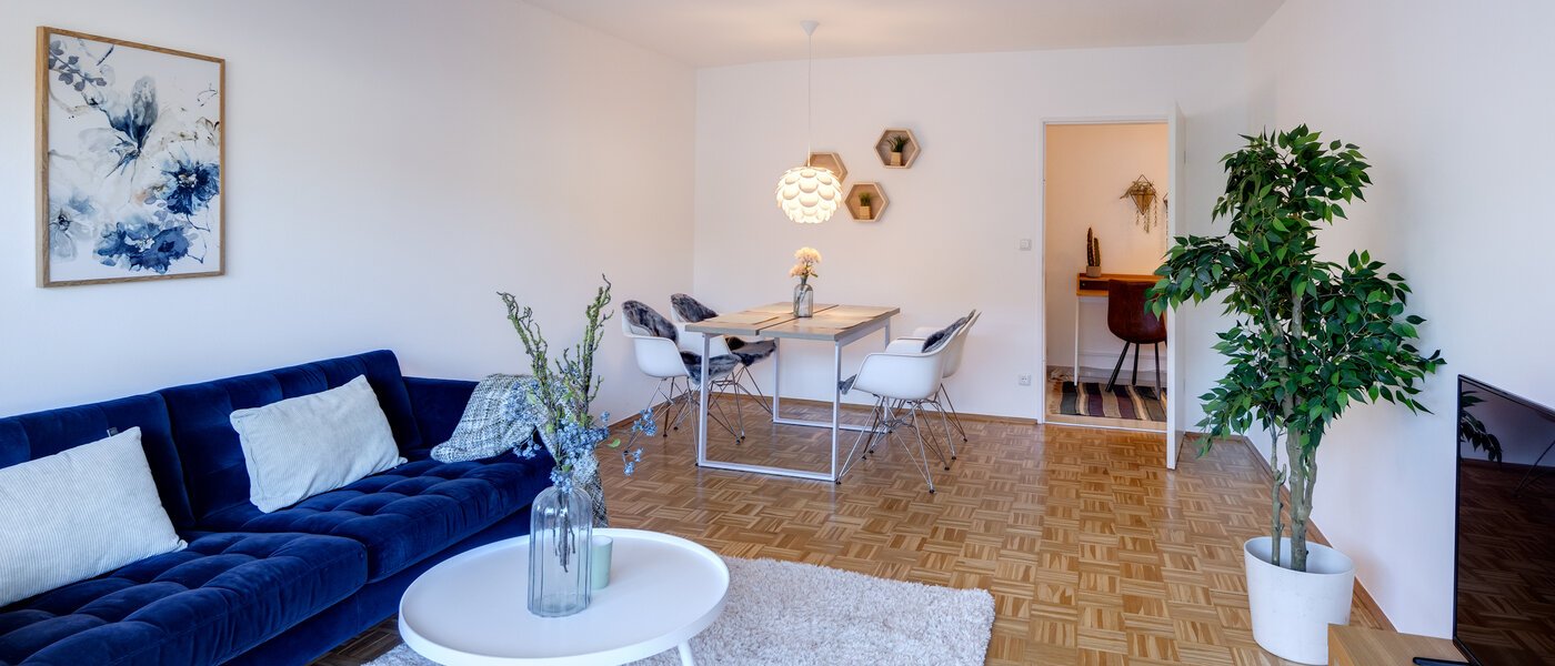 apartment München Giesing 04 living room 14290