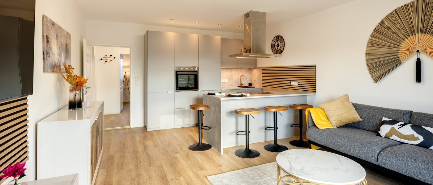 apartment Garching 02 living area 14297