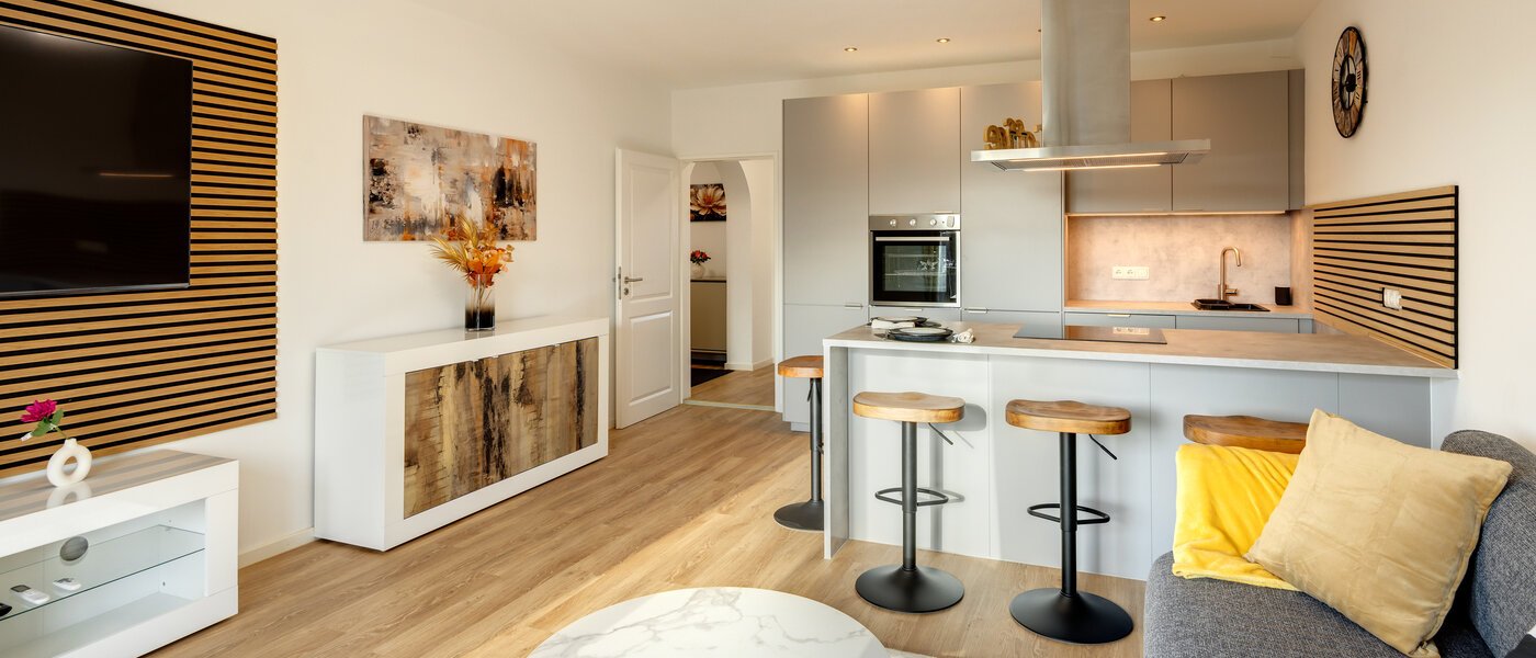 apartment Garching 03 living area 14297