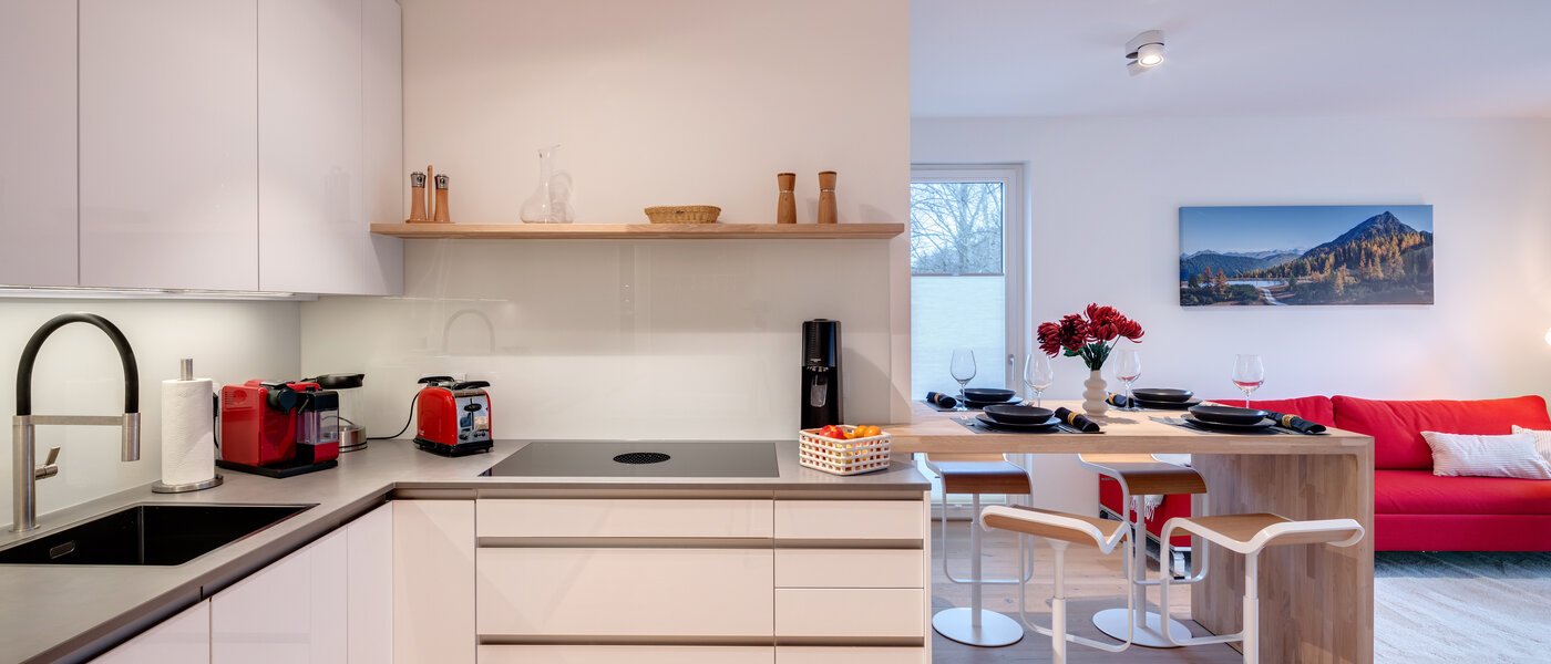 apartment München Harlaching 03 kitchen 14313