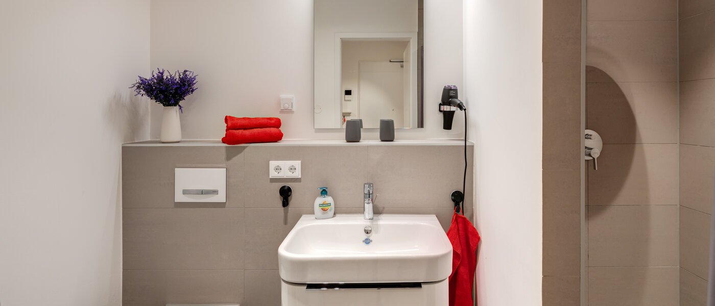 apartment München Harlaching 01 bathroom 14313