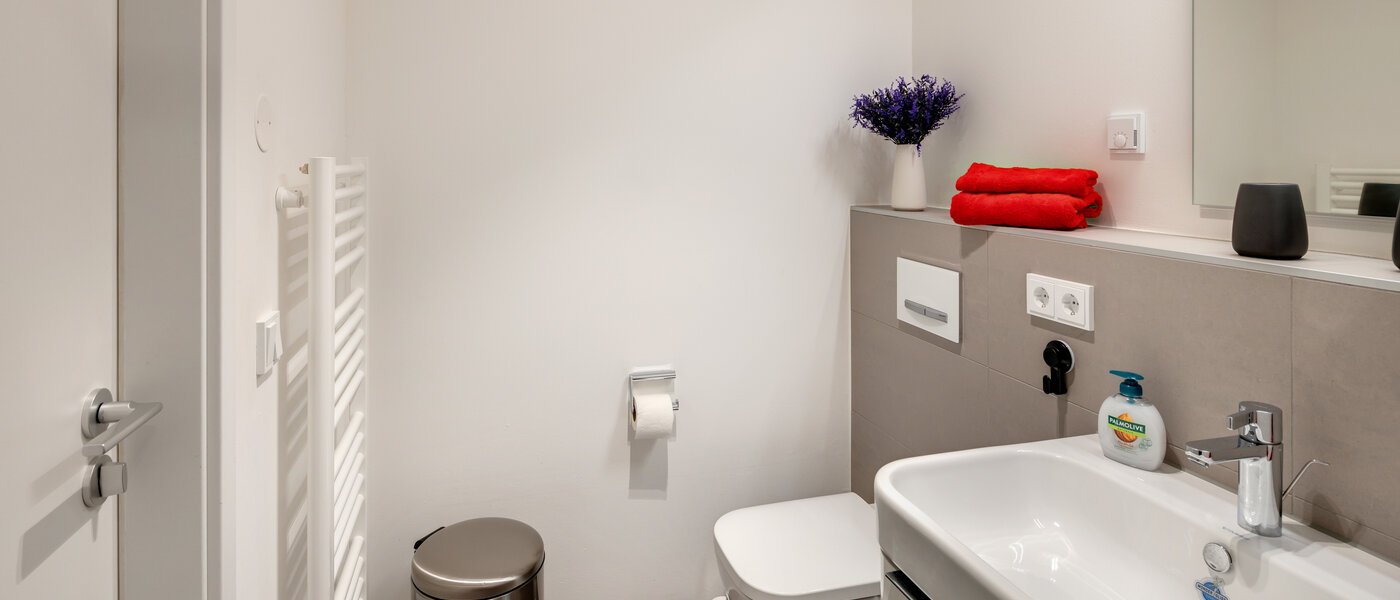 apartment München Harlaching 04 bathroom 14313