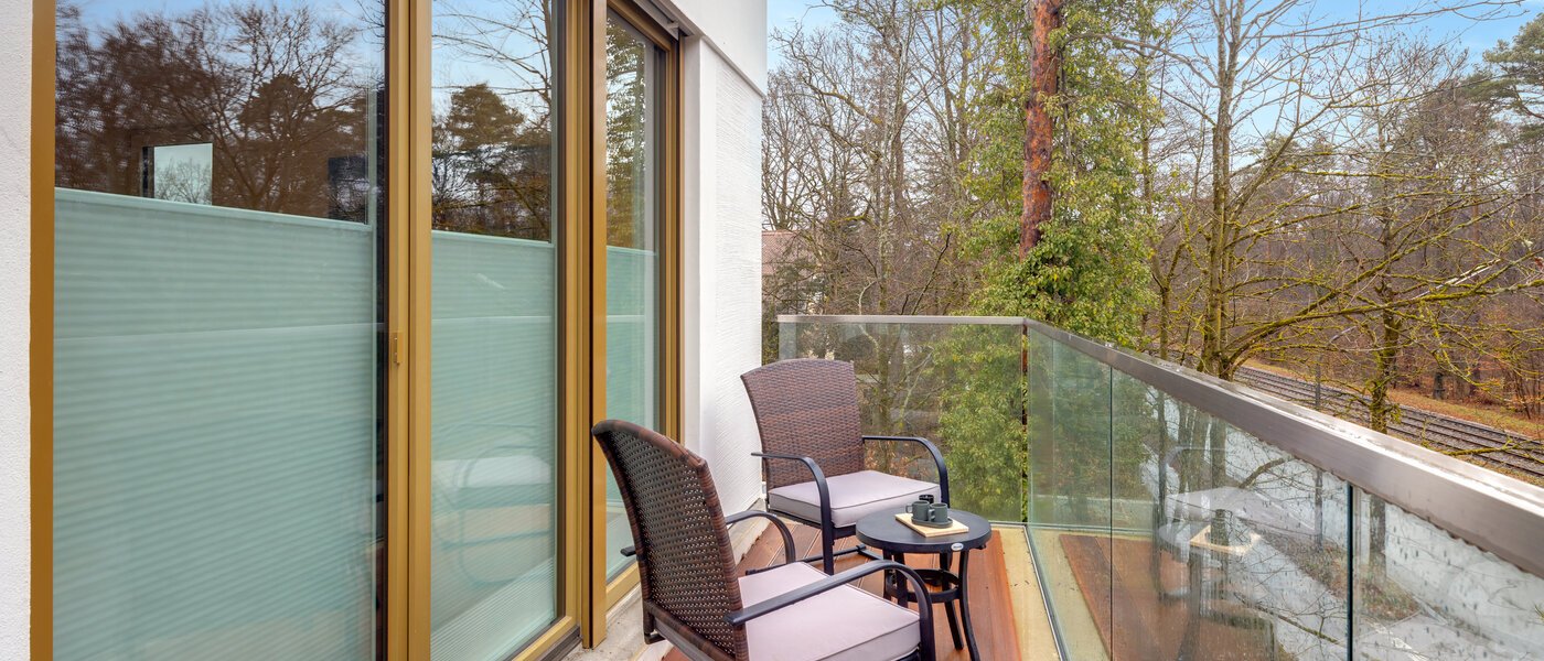 apartment München Harlaching 01 balcony 14313