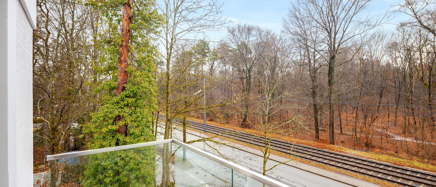 apartment München Harlaching 01 view 14313