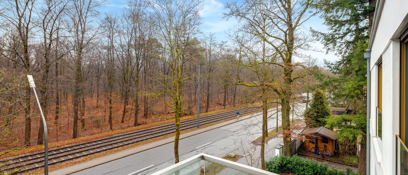 apartment München Harlaching 02 view 14313