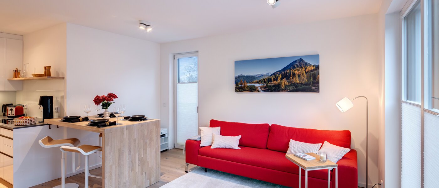 apartment München Harlaching 01 living area 14313