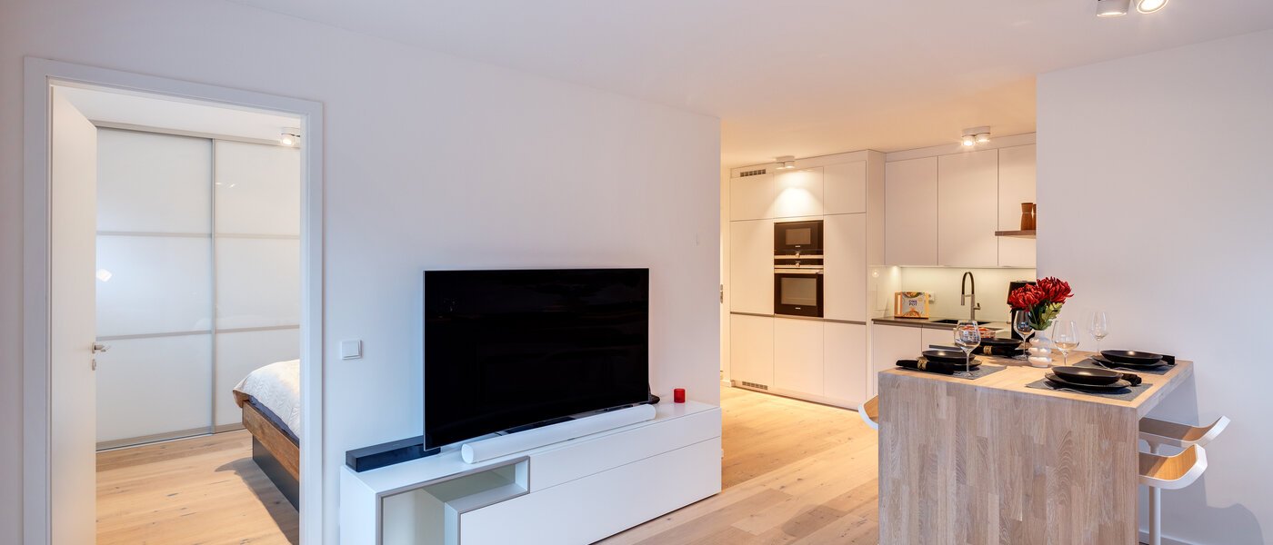 apartment München Harlaching 03 living area 14313