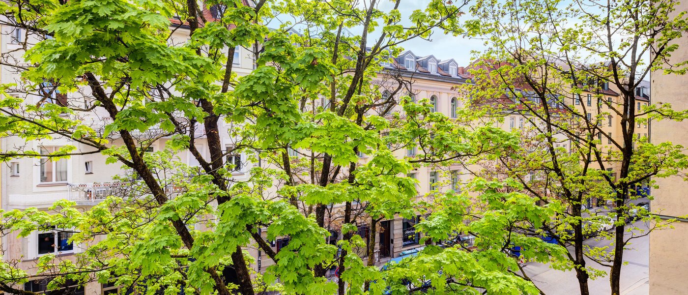 studio München Maxvorstadt 02 view 14371