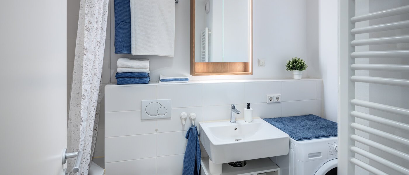 apartment München Obergiesing 01 bathroom 14378