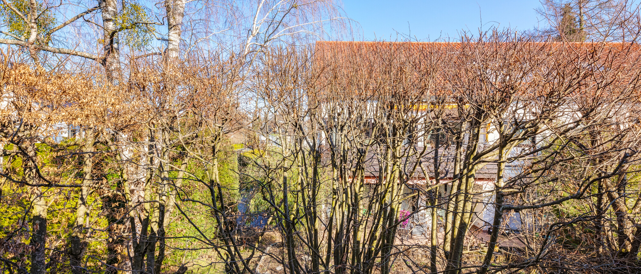semi-detached house Pullach im Isartal 05 view 14381