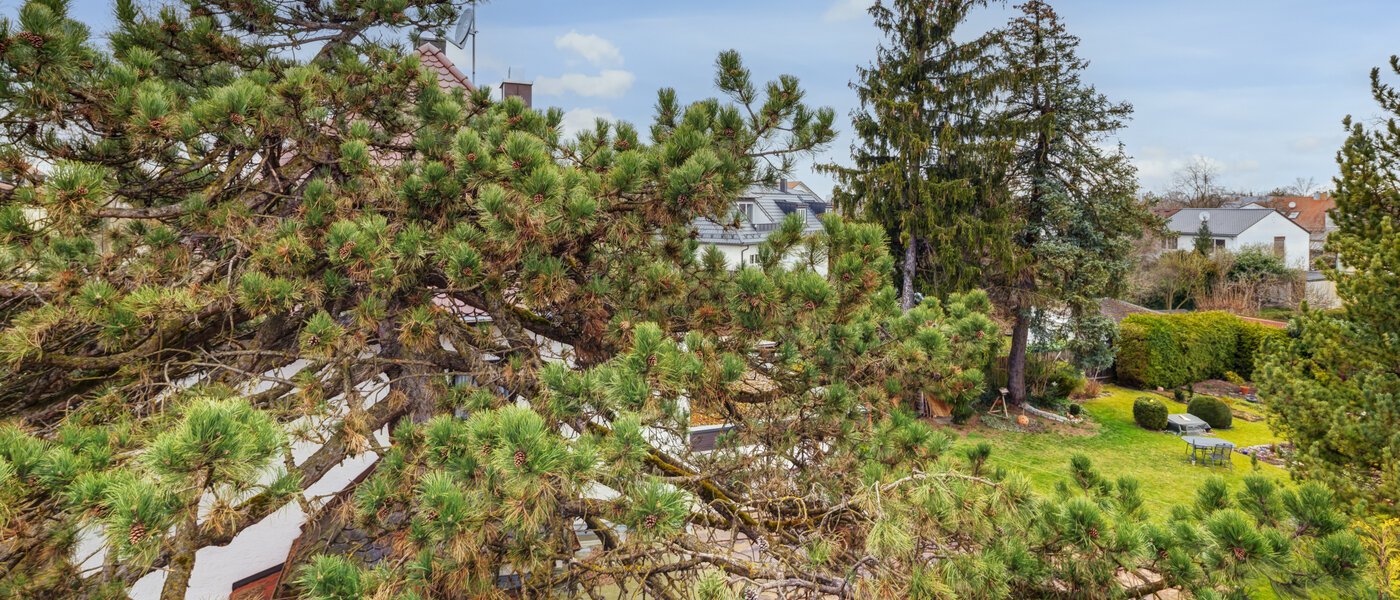 detached house München Daglfing 03 view 14387