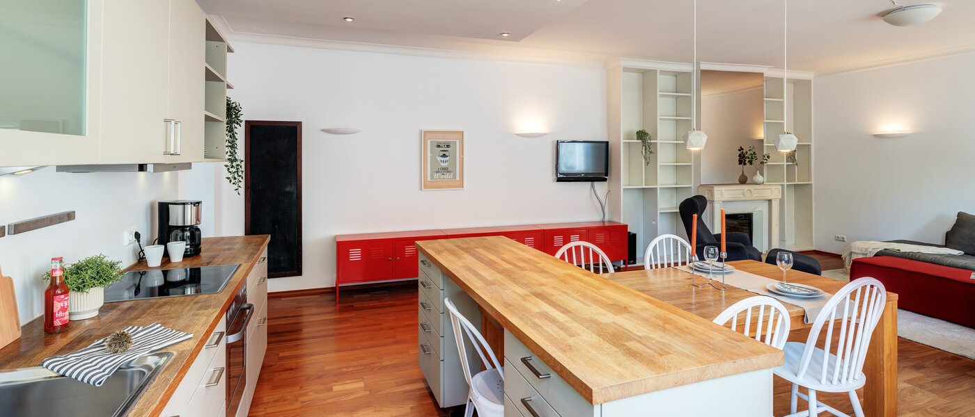 roof terrace apartment München Solln 05 kitchen 14396