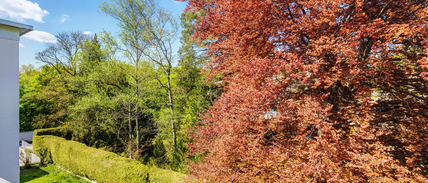 roof terrace apartment München Solln 03 view 14396