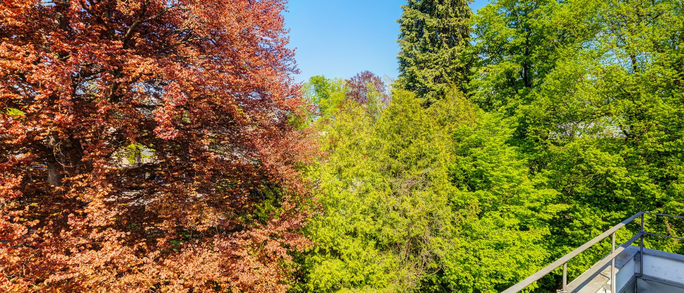 roof terrace apartment München Solln 04 view 14396