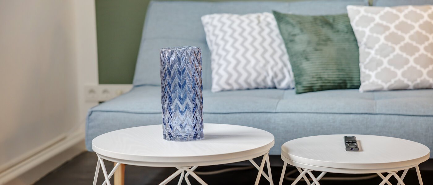 apartment München Maxvorstadt 02 living room 14411