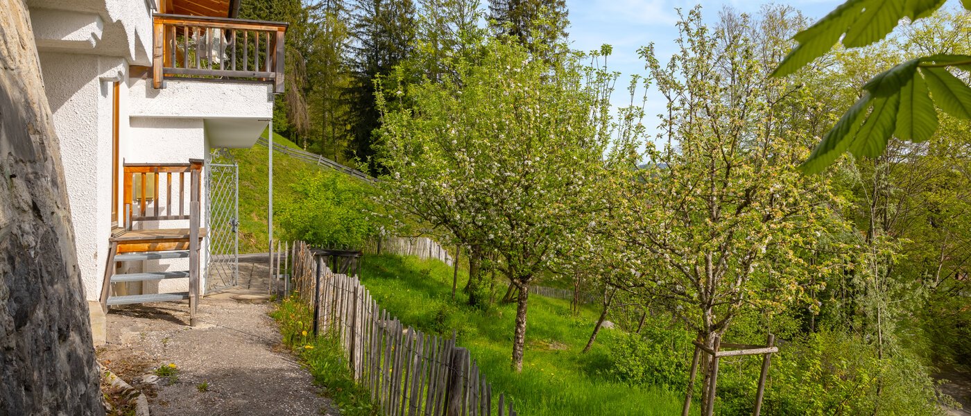 villa Bad Wiessee 04 garden 14436