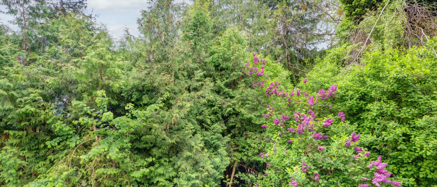 apartment München Thalkirchen 01 view 14439