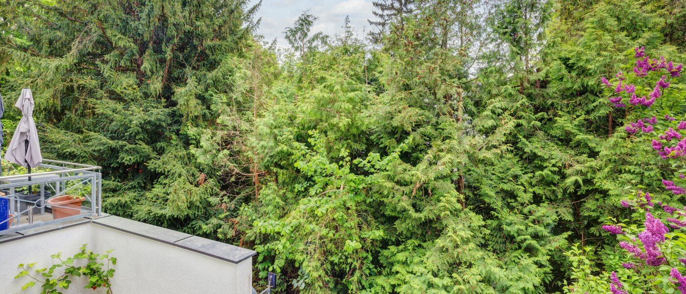 apartment München Thalkirchen 02 view 14439