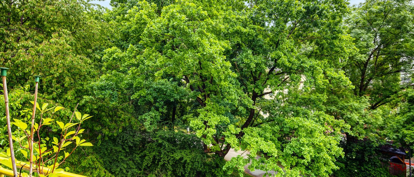 apartment München Sendling 01 view 14453