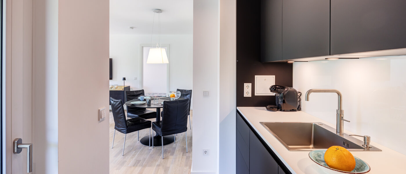 apartment Haar 04 kitchen 14460