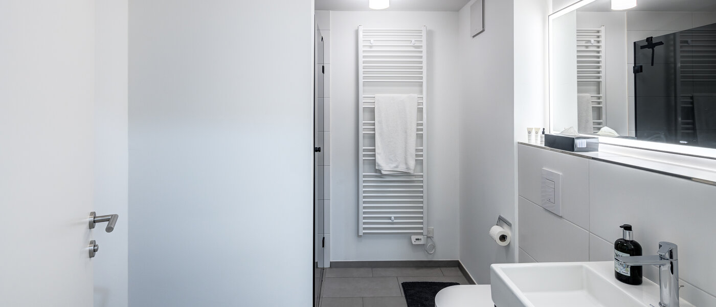 apartment Haar 03 bathroom 14460