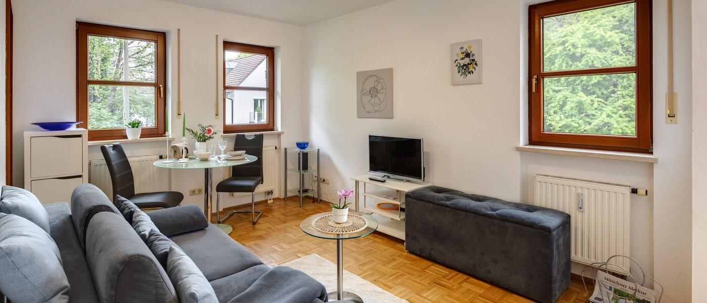 apartment München Trudering 03 living area 14464